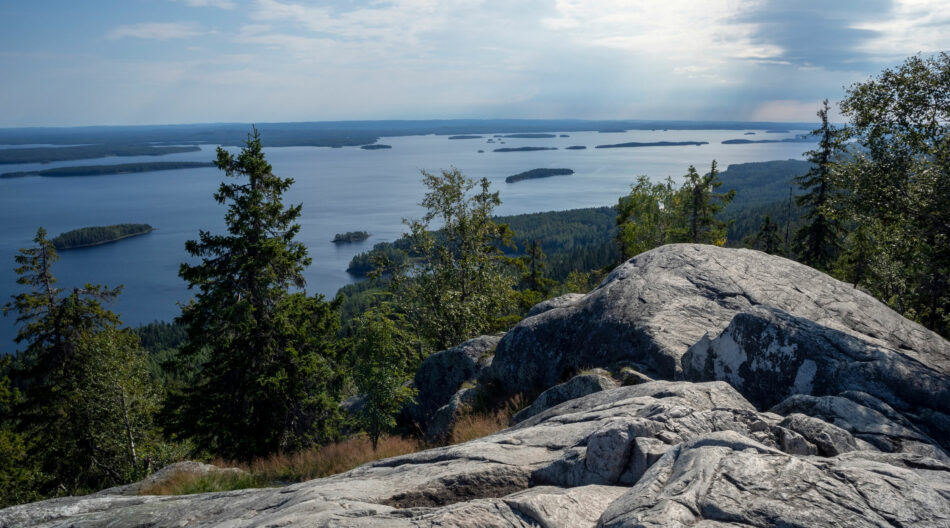 Koli, Lieksa