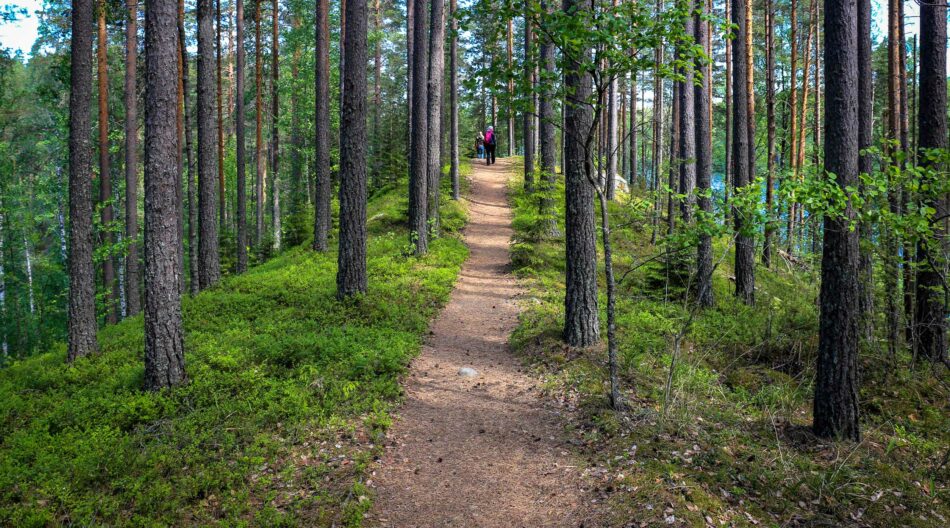 Salpausselkä Geopark