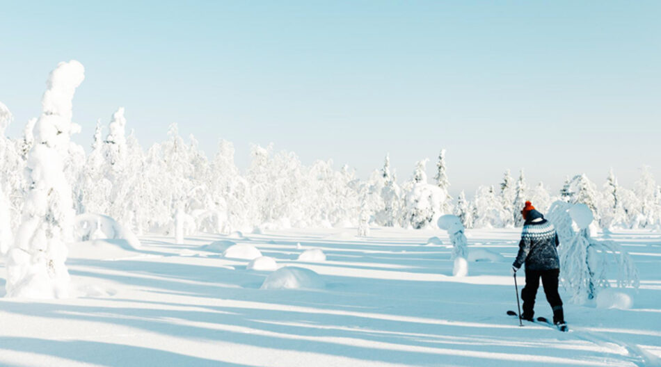 Arctic Lakeland, hiihtoa Kainuussa