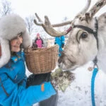 Nuorti Reindeerin porot tulevat nyt Seurasaareen.