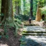 Japanilainen metsämaisema