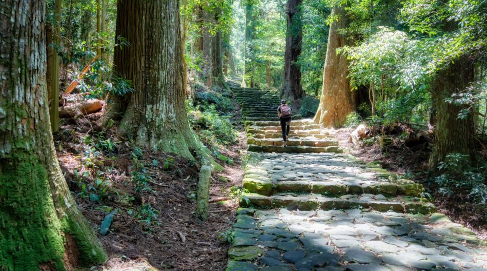 Japanilainen metsämaisema