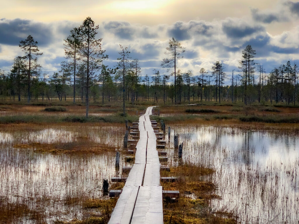 Pitkospuut Pyhällä